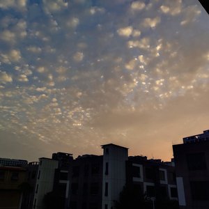 百度搜索欧洲美女与动物乱伦交配视频
